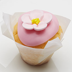 Cupcakes - mini thumbnail