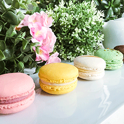 Macaron  thumbnail
