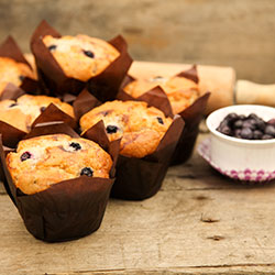Blueberry gourmet muffin - box of 6 thumbnail