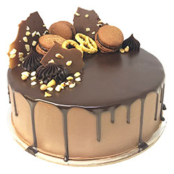 Salted hazelnut chocolate gateau thumbnail
