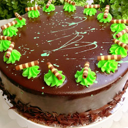 Chocolate mint ripple cake thumbnail