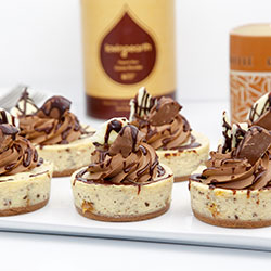 Tim Tam cheesecake - 3 inch - box of 6 thumbnail