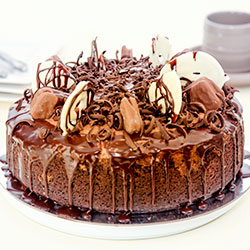 Tim Tam cheesecake thumbnail