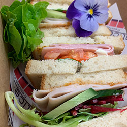 Gluten free sandwich thumbnail