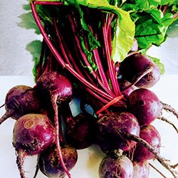 Roasted beetroot salad thumbnail