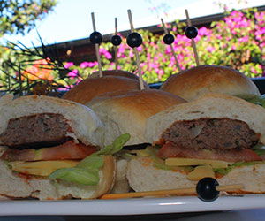 Mini sliders package thumbnail