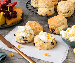 Zesty delight thumbnail